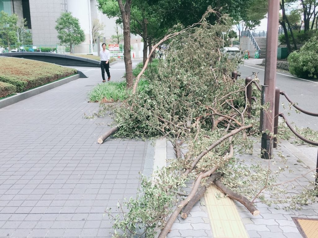 東京～大阪　　赤帽で長距離配送　　大阪は台風一過　　赤帽ファーストクラス配送